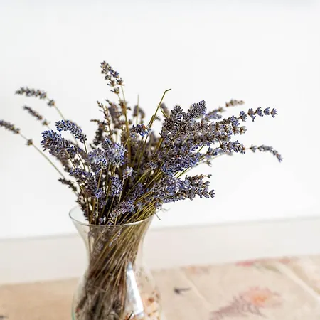 Lili 아파트 크닌